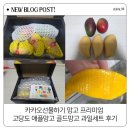 골드망고 | 카카오선물하기 망고 프리미엄 고당도 애플망고 골드망고 과일세트 후기