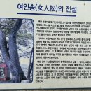 분계해변 네이버블로그