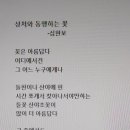 인터넷사랑 이미지