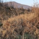 양주산성로 이미지