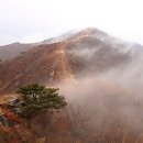 갈산리석불입상 | 이천 원적산 ~ 천덕봉(21. 3. 20)