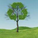 해율행정사사무소 이미지