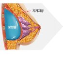 꿈꾸는성형외과의원 이미지