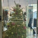 수정수진2-D-1 | [강남 미용실 추천] 뿌리펌 대만족 후기 정수진 디자이너쌤 ‘어몽헤어 신논현점’