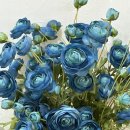 하이커피 이미지