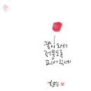 선기로2-8 이미지