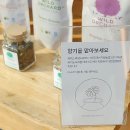 시즌글라스원주 이미지