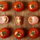 토마토 이미지