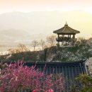 동해안 - 익산시 배산로 71-4 | 동해안