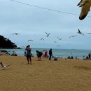 해안공인중개사사무소 이미지