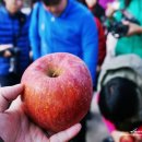 효마루마을 이미지