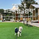 서울 YMCA 다락원 캠프장 | 의정부 글램핑장 강아지동반 글램핑장 ” 피카푸 피크닉앤글램핑 서울YMCA 도봉산점 “ 내돈내산 후기❤️