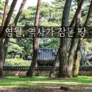 건축사사무소자소원 | [강원/영월]역사가 있는 풍경: 청령포, 장릉, 선돌