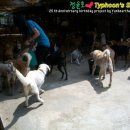 재중목장 이미지