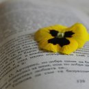 프라임빌딩 이미지