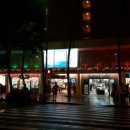 치즈약국 이미지