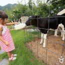 연천목장 이미지