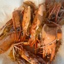 삼척에서 소고기등심과 술 한잔 즐기기 좋은 추천 식당 도계맛집 회식 방문후기