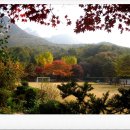 서울북한산초등학교 이미지