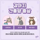 서울동물영상종양센터 이미지