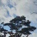 팔공산맥