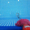 티나디테일링 이미지