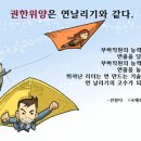 벨루션