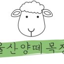 우천목장 이미지