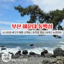 누리마루 APEC하우스(벡스코 누리마루하우스) | 부산 해운대 동백섬 / 부산 동백섬 산책 후기, 주차장 정보, 누리마루 APEC 하우스
