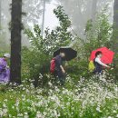 율곡수목원(2) 이미지