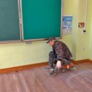 부대초등학교 이미지