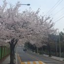 수원시 팔달구 향교로 93 이미지