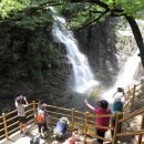 무릉계곡 1호 이미지