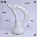 조원동-19 | [조원동 피부관리] 시원한 손맛으로 등근육 타파! ‘샤인뷰티’