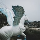 신하목장 이미지