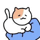 만만타코야끼 네이버블로그