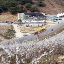 미선향테마파크 이미지