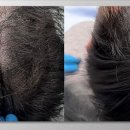 용산-169 이미지