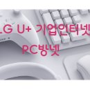 인터넷 피씨방 네이버블로그