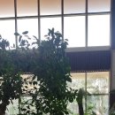 인천국제골프연습장 이미지