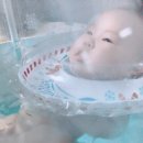 [육아템] 스위마바 아기 수영장,목튜브