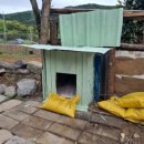 땡칠이 민박 이미지