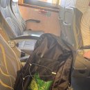 진주중부농업협동조합 | [대만가오슝 3박4일여행] - 2일차: 소류구 대중부잠 거북이 스노쿨링,수석 카이센동,치진섬 노을,리우허...