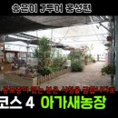 내현농장 티스토리