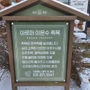 힐링숲족욕카페 이미지
