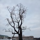 춘천시청 별관(춘천도시공사) 이미지