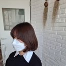 디엘헤어(DL헤어)