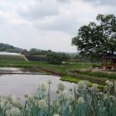 삼지연못 이미지