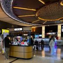 노원1,2가경로당 | [서울/노원구] 노원롯데시네마에서 본 위키드 2 -감동 후기💚💜🎬