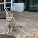 인하트풀빌라 이미지